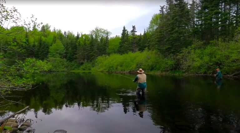 Read more about the article Newfoundland Trout Fishing Heaven