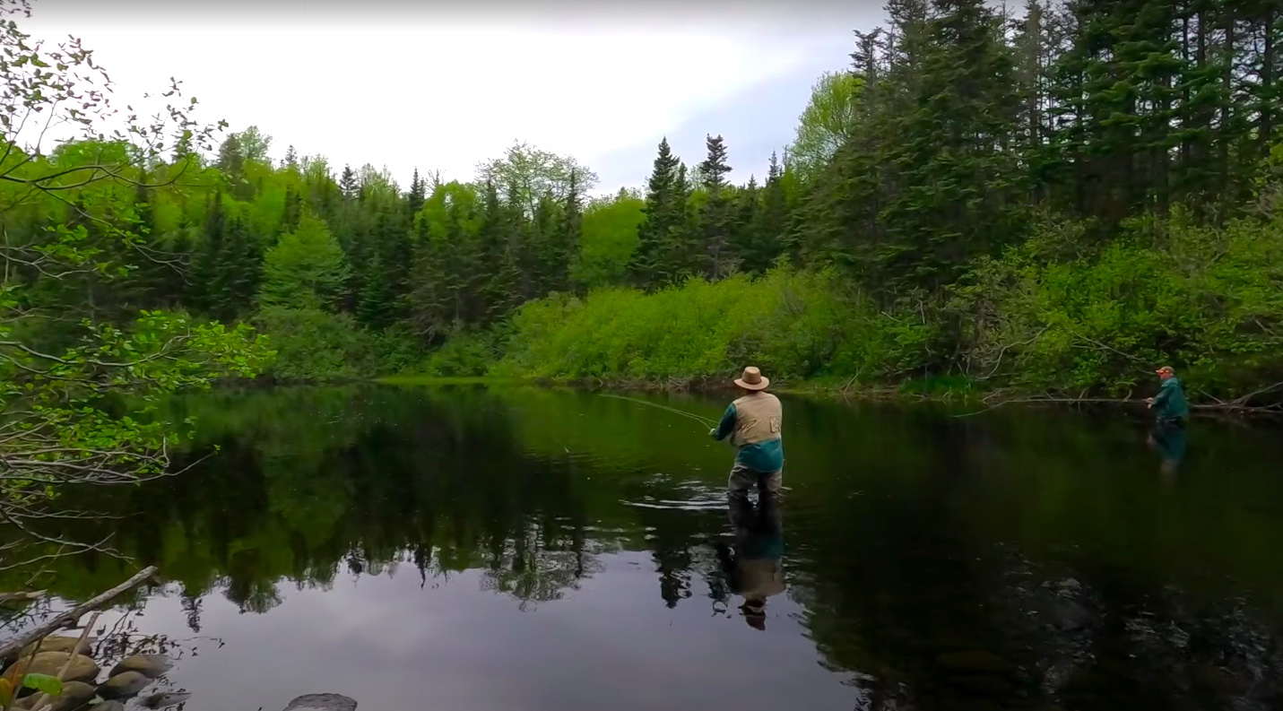 You are currently viewing Newfoundland Trout Fishing Heaven