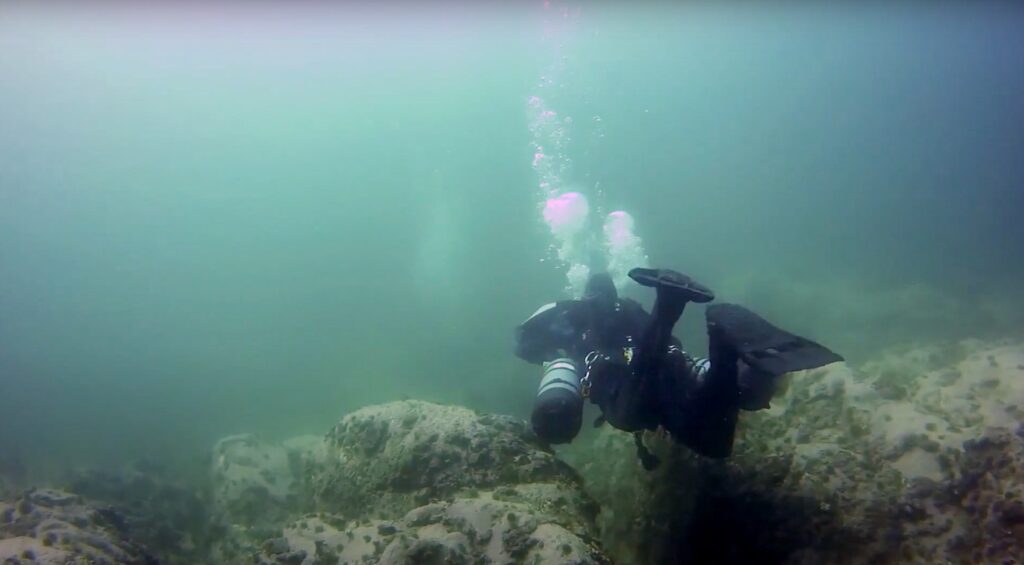 Scuba Diving In Newfoundland