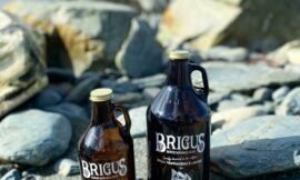 Brigus Brewing Co Coming Along Nicely