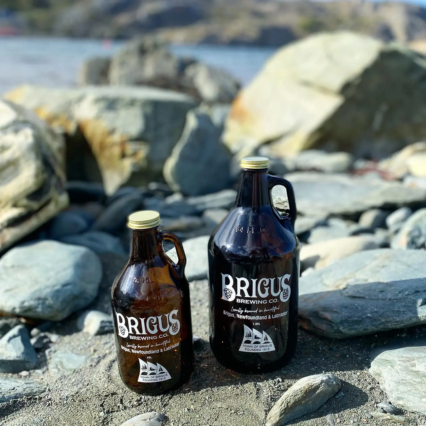 You are currently viewing Brigus Brewing Co Coming Along Nicely