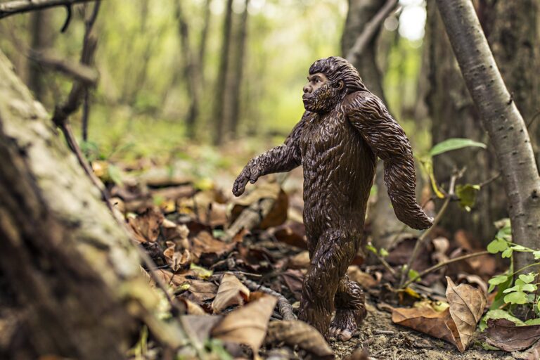 Read more about the article Bigfoot Hunting License