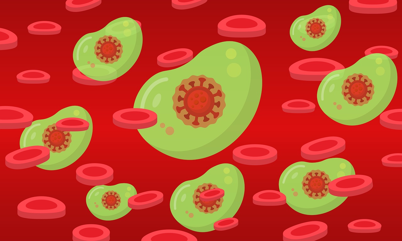 how much is a covid-19 antibody test in newfoundland