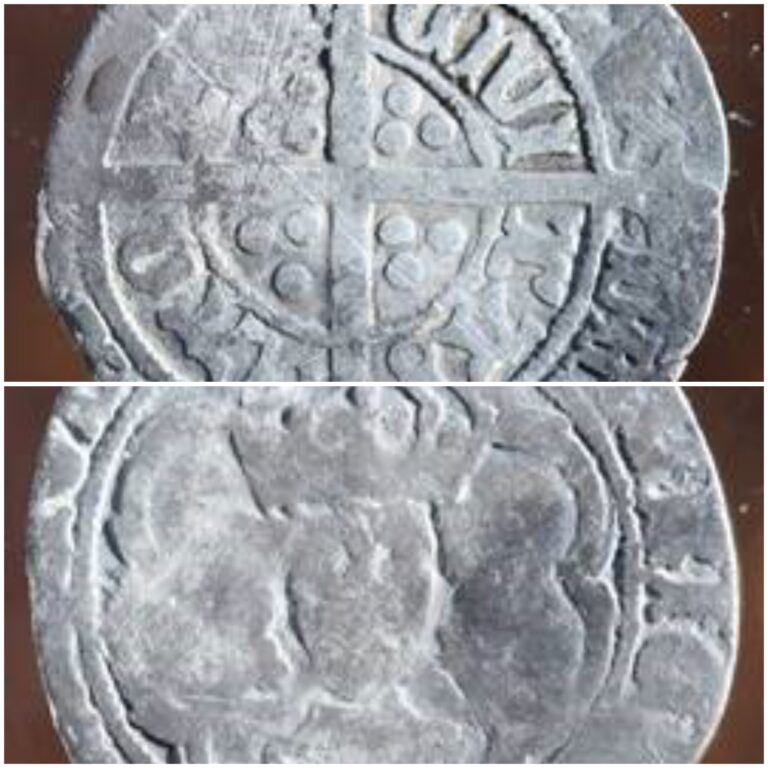 Read more about the article Rare English Coin Discovered at Cupids Cove