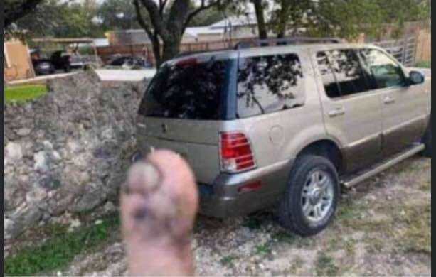 weird facebook marketplace ad 1