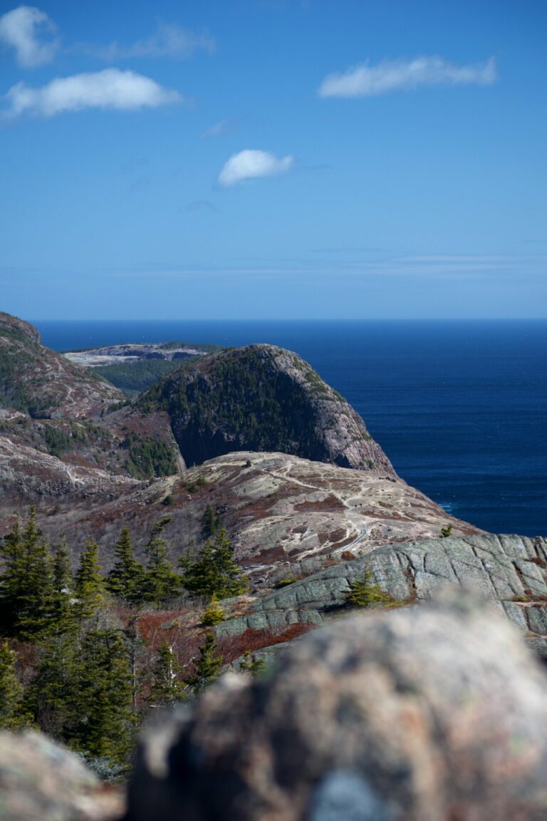 Read more about the article 5 Best Hiking Trails In Newfoundland