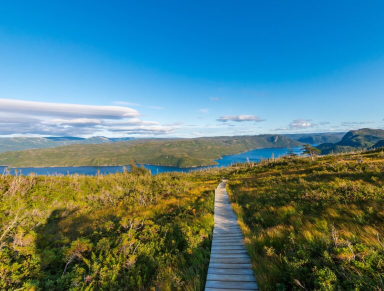 Read more about the article Gros Morne Vacation Packages Guide