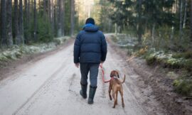 Off Leash Dogs While Hiking Rules & Issue In Newfoundland