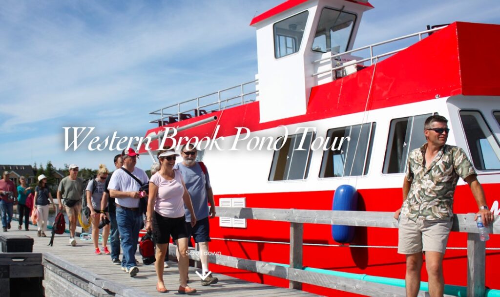 gros morne fjords boat tour