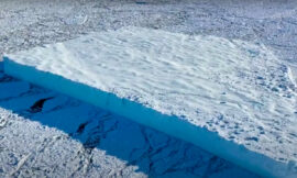 2023 Newfoundland Iceberg Season So Far