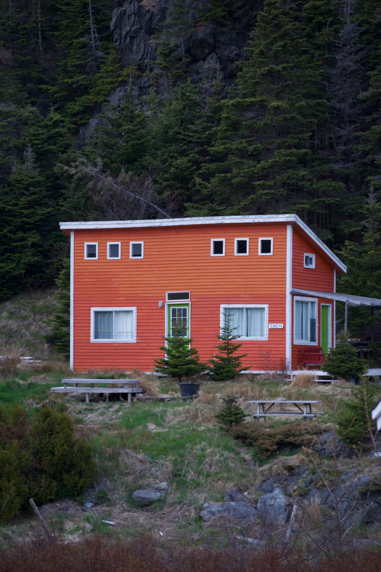 You are currently viewing Newfoundland Photography Walk In Bauline East