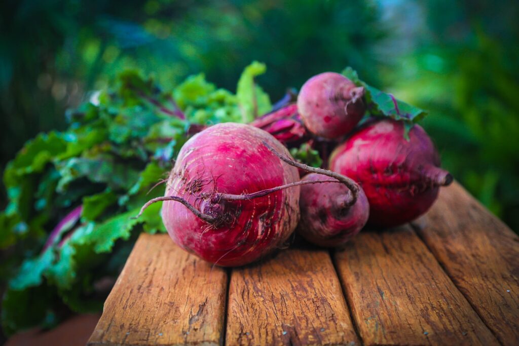 newfoundland 2023 Funding for Agriculture and Agrifoods Industry