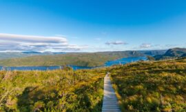 Gros Morne Delights: A Journey into Newfoundland’s Natural Paradise