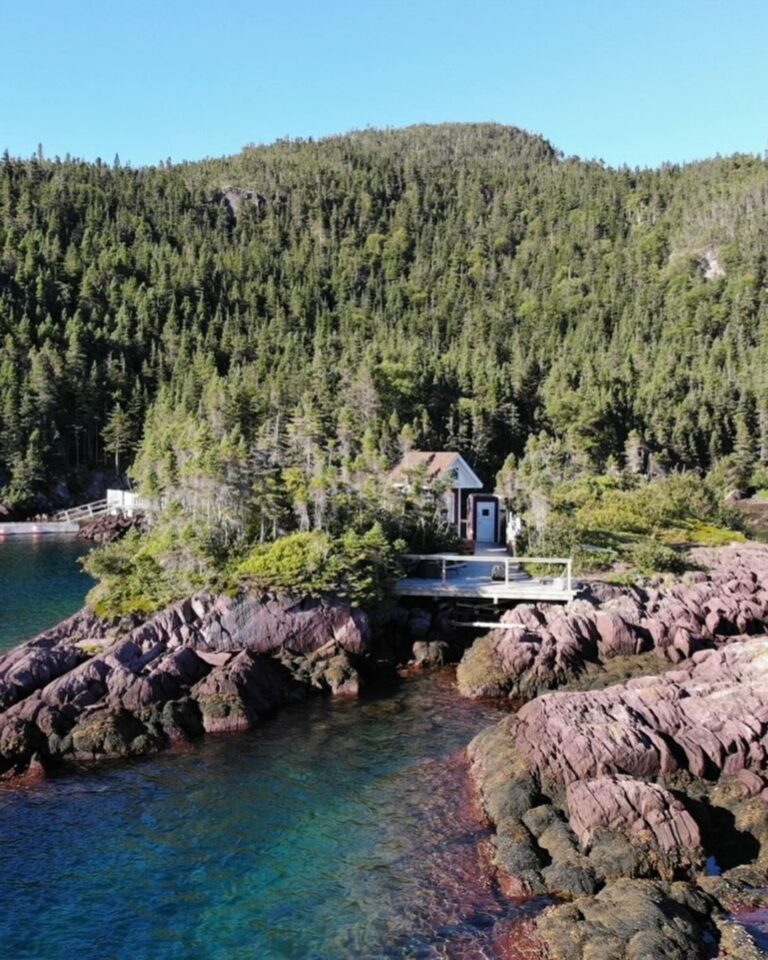 Read more about the article Gypsy Sea Adventures Offers A Fun Private Island Getaway