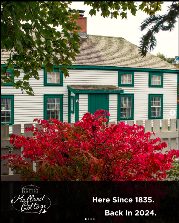 Read more about the article Mallard Cottage Is Open For 2024!