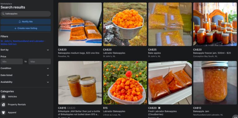 Read more about the article Where To Find And Buy Bakeapples In Newfoundland