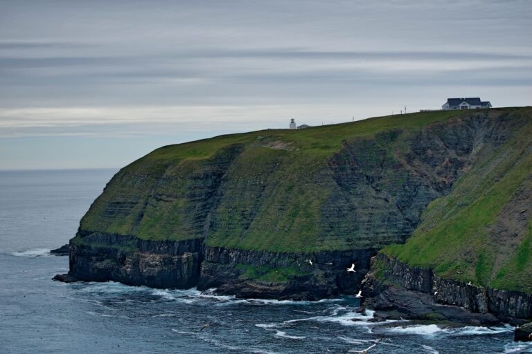 Read more about the article What Is The Best Month To Visit Newfoundland?