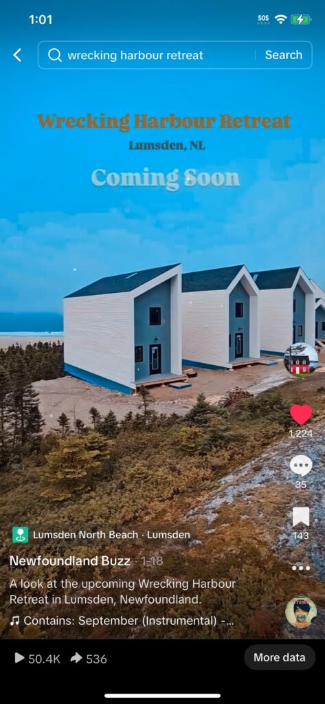 Newfoundland Airbnb Marketing Goes Viral 3