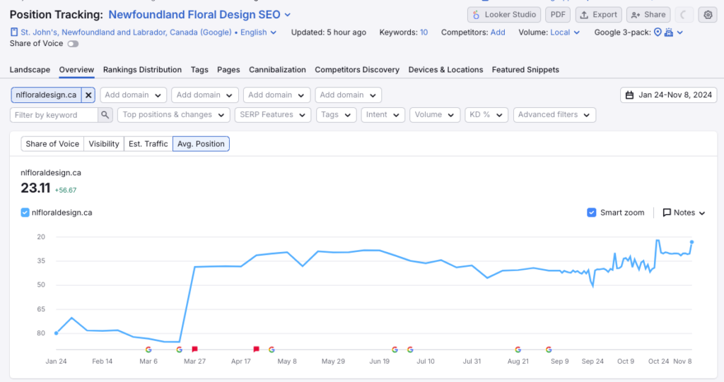 newfoundland seo services case study 2