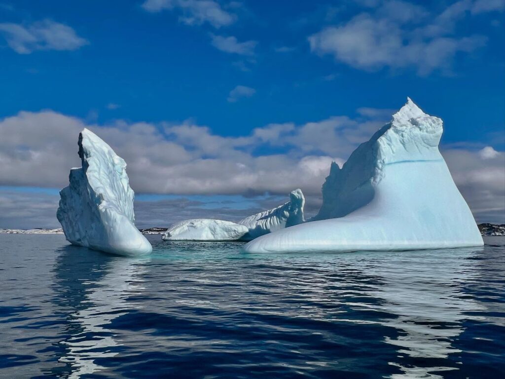 twillingate adventure tours iceberg 2025 season